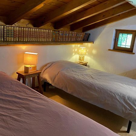 Chalet Erminea Chamonix Bagian luar foto