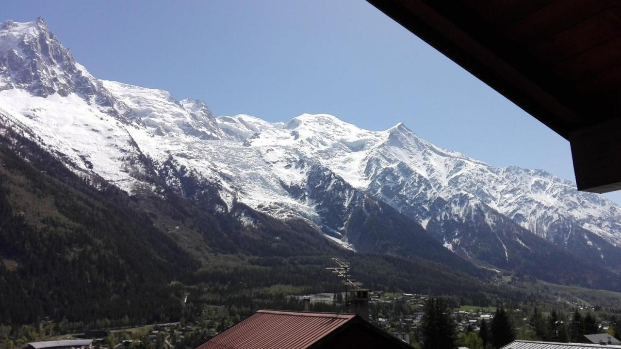 Chalet Erminea Chamonix Bagian luar foto