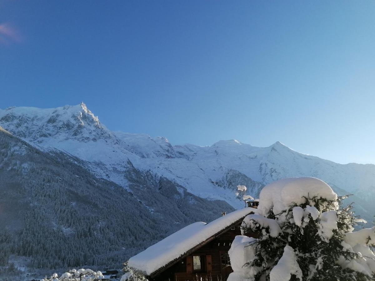 Chalet Erminea Chamonix Bagian luar foto