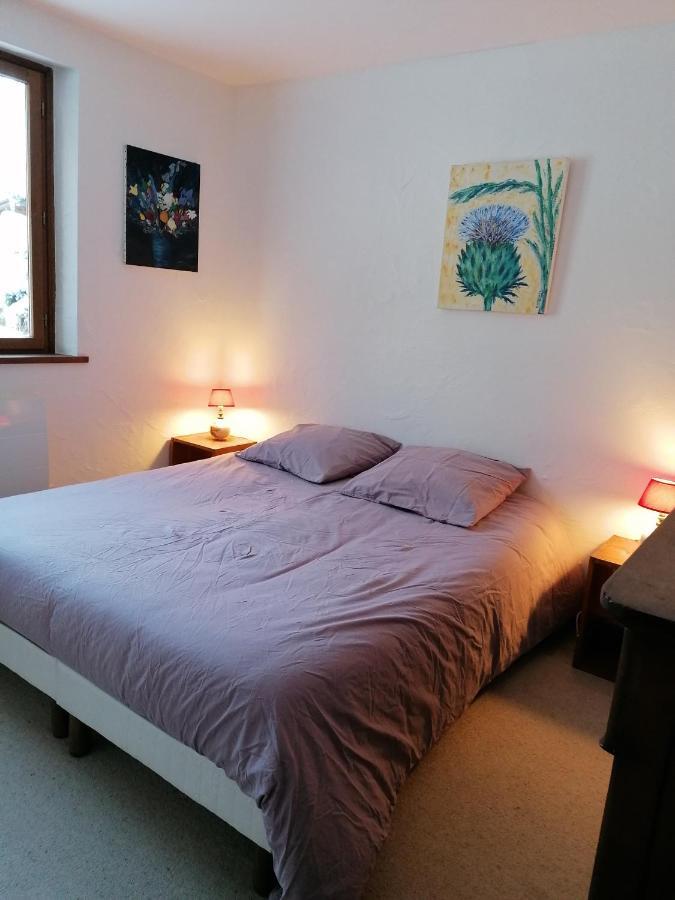 Chalet Erminea Chamonix Bagian luar foto